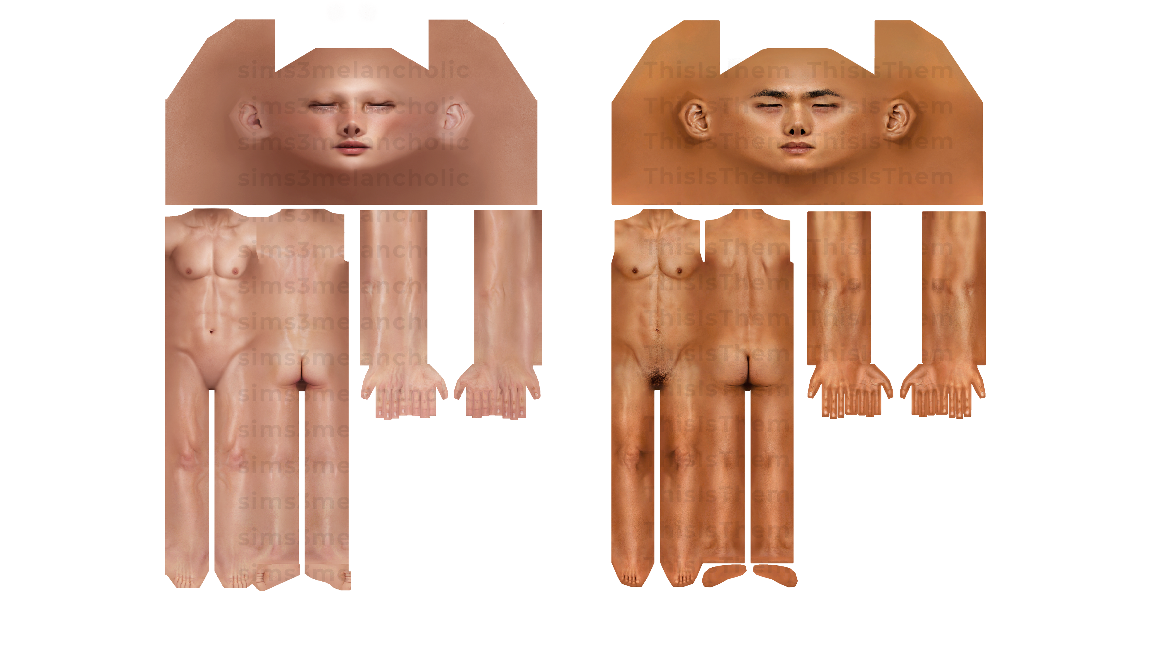 Skin Type: No Pubic Hair vs. Pubic Hair